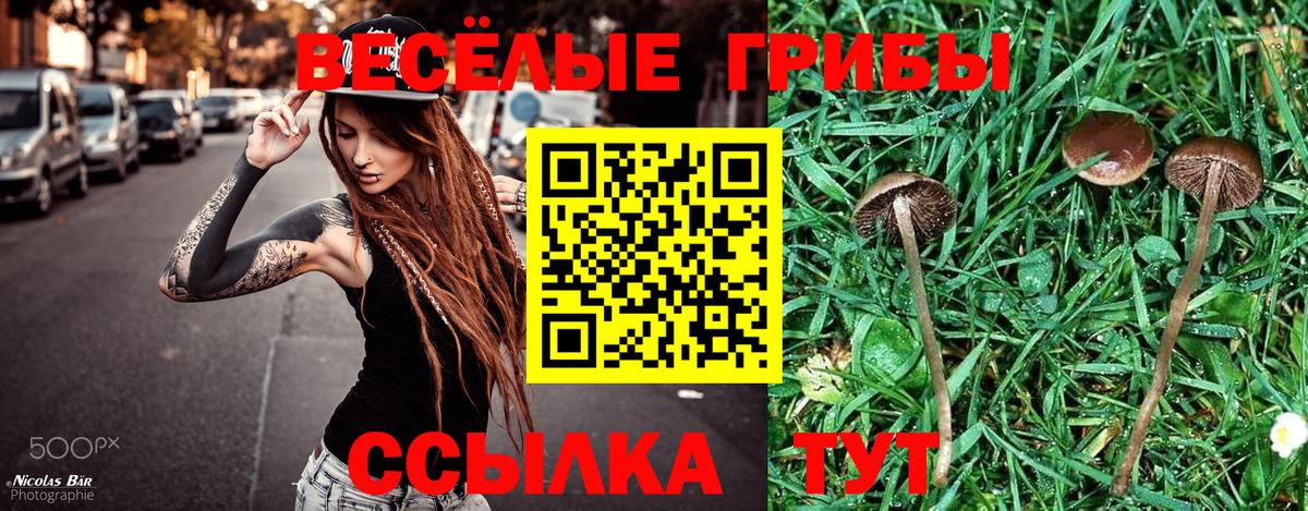 Псилоцибиновые грибы MAGIC MUSHROOMS Красный Сулин